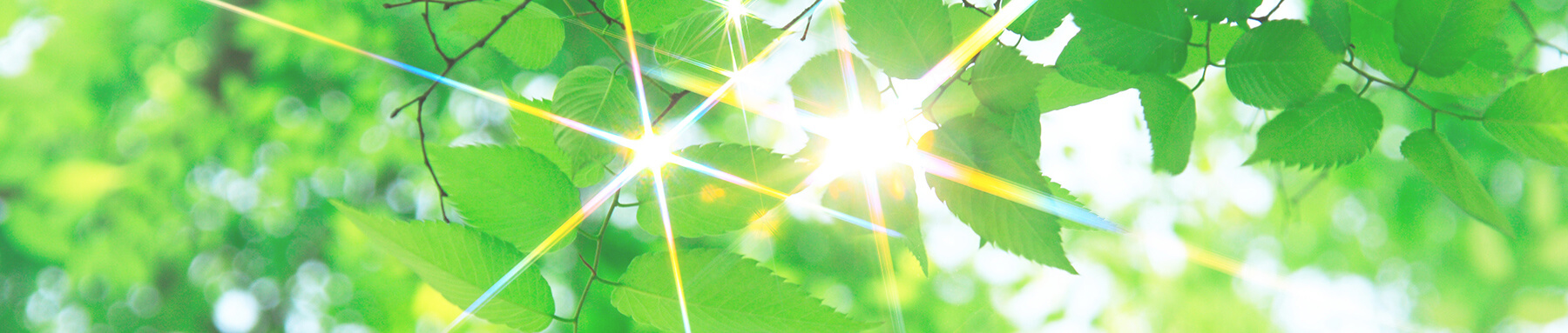 プライバシーポリシー